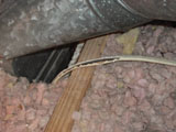 damage to wires caused by rodent