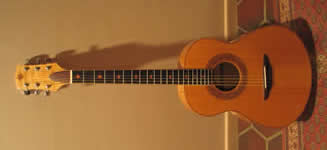 acoustic steel-string guitar