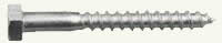 lag screw / bolt