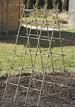 bamboo trellis - free plans, drawings & instructions