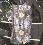 log bird feeder