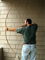 sapling archery bow plans