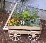 wagon planter